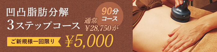 凹凸脂肪分解 3ステップコース